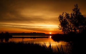 Preview wallpaper sunset, tree, horizon, grass