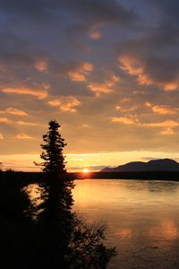 Preview wallpaper sunset, tree, horizon, mountains