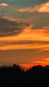 Preview wallpaper sunset, tree, horizon, silhouette