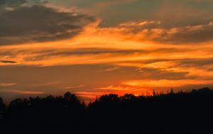 Preview wallpaper sunset, tree, horizon, silhouette