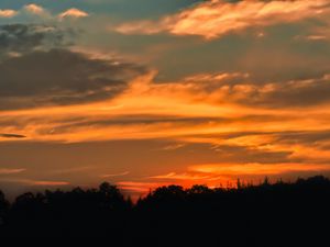 Preview wallpaper sunset, tree, horizon, silhouette