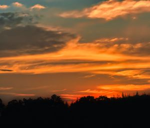 Preview wallpaper sunset, tree, horizon, silhouette