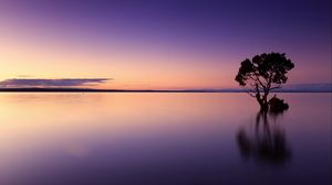 Preview wallpaper sunset, tree, lake, sky, water, evening, purple