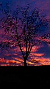 Preview wallpaper sunset, tree, silhouette