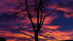 Preview wallpaper sunset, tree, silhouette