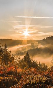 Preview wallpaper sunset, trees, autumn, forest, sky