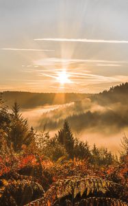 Preview wallpaper sunset, trees, autumn, forest, sky