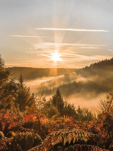 Preview wallpaper sunset, trees, autumn, forest, sky