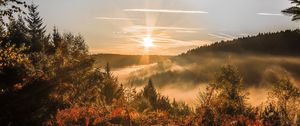 Preview wallpaper sunset, trees, autumn, forest, sky