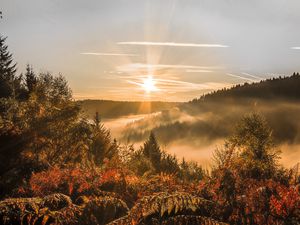 Preview wallpaper sunset, trees, autumn, forest, sky