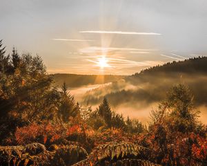 Preview wallpaper sunset, trees, autumn, forest, sky