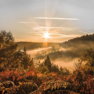 Preview wallpaper sunset, trees, autumn, forest, sky