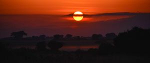 Preview wallpaper sunset, trees, bushes, dusk, evening