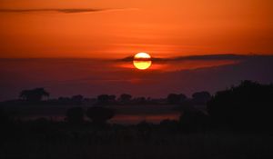 Preview wallpaper sunset, trees, bushes, dusk, evening
