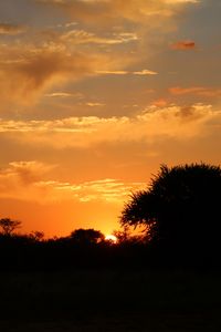 Preview wallpaper sunset, trees, bushes, sun, outlines, dark