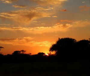 Preview wallpaper sunset, trees, bushes, sun, outlines, dark