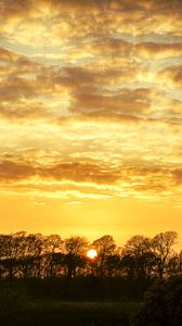 Preview wallpaper sunset, trees, clouds, dusk, landscape