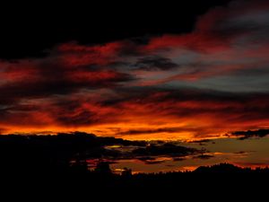 Preview wallpaper sunset, trees, clouds, silhouettes, dark, dusk