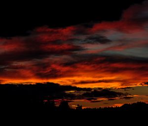 Preview wallpaper sunset, trees, clouds, silhouettes, dark, dusk