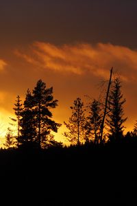 Preview wallpaper sunset, trees, dusk, dark