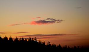 Preview wallpaper sunset, trees, dusk, outlines