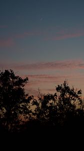 Preview wallpaper sunset, trees, foliage, sky