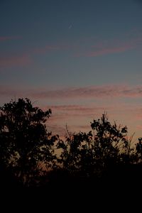 Preview wallpaper sunset, trees, foliage, sky