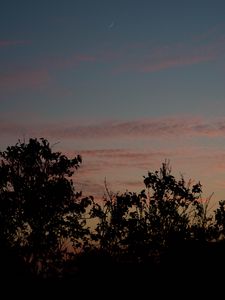 Preview wallpaper sunset, trees, foliage, sky