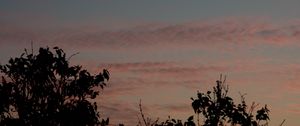 Preview wallpaper sunset, trees, foliage, sky