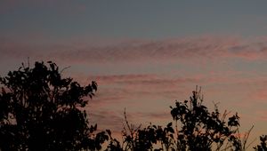 Preview wallpaper sunset, trees, foliage, sky