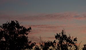 Preview wallpaper sunset, trees, foliage, sky