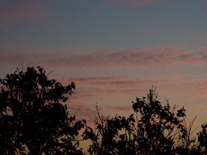 Preview wallpaper sunset, trees, foliage, sky