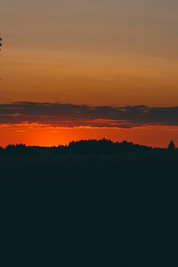 Preview wallpaper sunset, trees, horizon