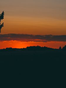 Preview wallpaper sunset, trees, horizon