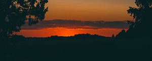 Preview wallpaper sunset, trees, horizon