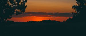 Preview wallpaper sunset, trees, horizon