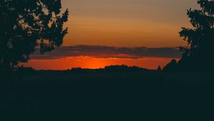 Preview wallpaper sunset, trees, horizon