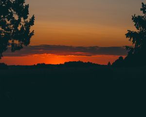 Preview wallpaper sunset, trees, horizon