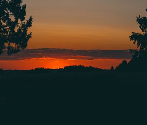 Preview wallpaper sunset, trees, horizon