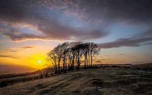 Preview wallpaper sunset, trees, landscape