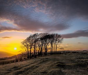 Preview wallpaper sunset, trees, landscape