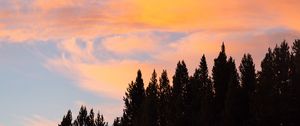 Preview wallpaper sunset, trees, nature, clouds