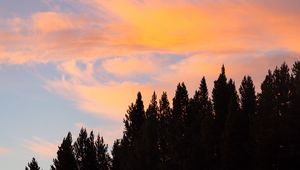 Preview wallpaper sunset, trees, nature, clouds