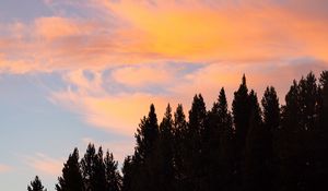 Preview wallpaper sunset, trees, nature, clouds