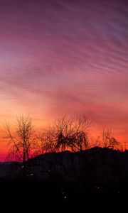 Preview wallpaper sunset, trees, night, sky