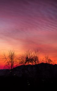 Preview wallpaper sunset, trees, night, sky