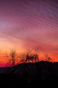 Preview wallpaper sunset, trees, night, sky