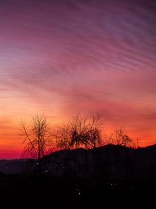 Preview wallpaper sunset, trees, night, sky
