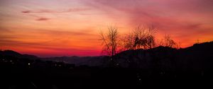 Preview wallpaper sunset, trees, night, sky