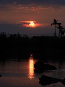 Preview wallpaper sunset, trees, pond, dark